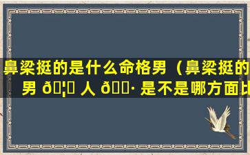 鼻梁挺的是什么命格男（鼻梁挺的男 🦄 人 🌷 是不是哪方面比较好）